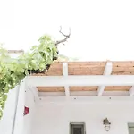 Nastasia Village Naxos City