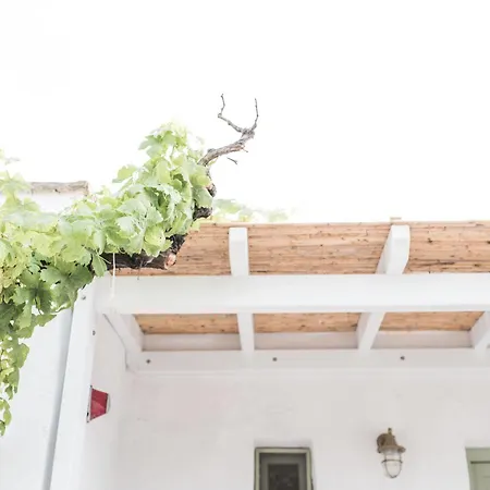 Nastasia Village Naxos City